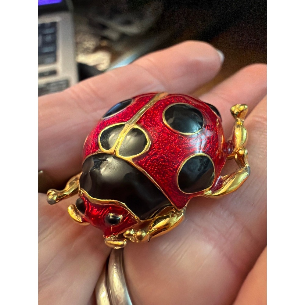 🐞 Vintage Dorothy Ann Enamel Ladybug Brooch – Lucky Charm Gold Tone